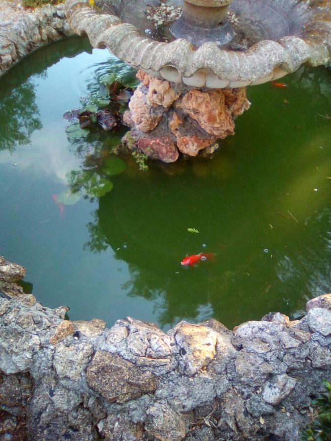 Casa Te La Bradamante Bed and Breakfast Magliano Εξωτερικό φωτογραφία