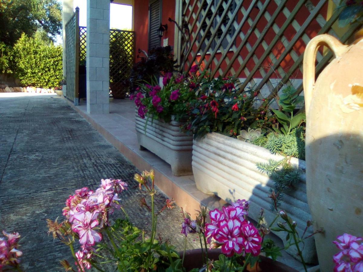 Casa Te La Bradamante Bed and Breakfast Magliano Εξωτερικό φωτογραφία