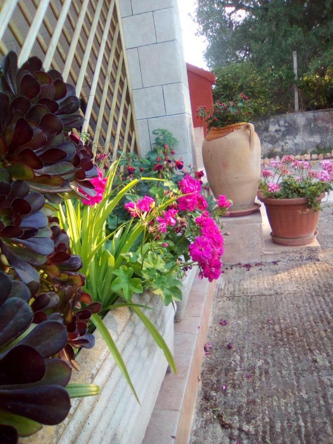 Casa Te La Bradamante Bed and Breakfast Magliano Εξωτερικό φωτογραφία