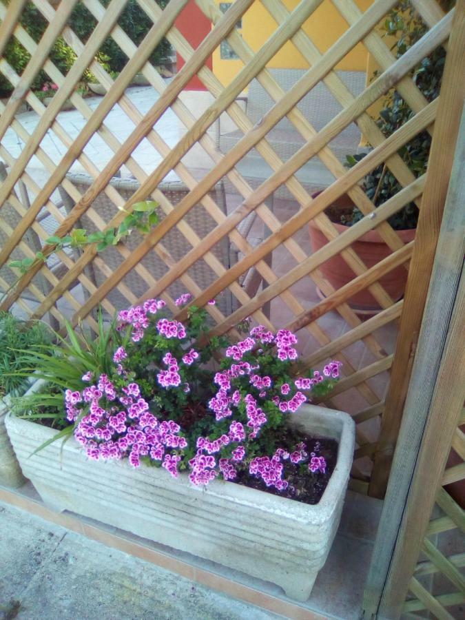 Casa Te La Bradamante Bed and Breakfast Magliano Εξωτερικό φωτογραφία