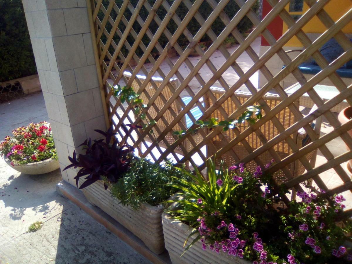 Casa Te La Bradamante Bed and Breakfast Magliano Εξωτερικό φωτογραφία