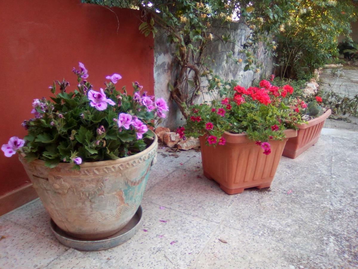 Casa Te La Bradamante Bed and Breakfast Magliano Εξωτερικό φωτογραφία